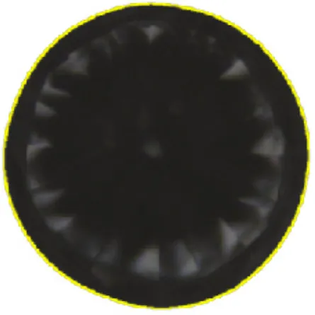 اختلاف الشكل الدائري